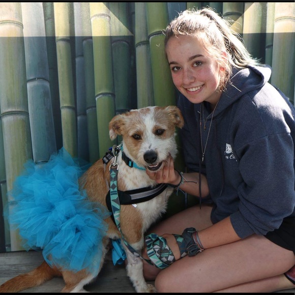 Meet your Posher, Nic - Picture 1 of 1